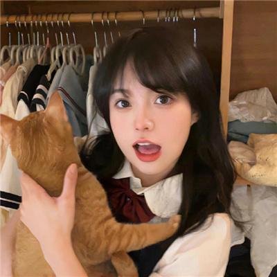 一条狗的回家路